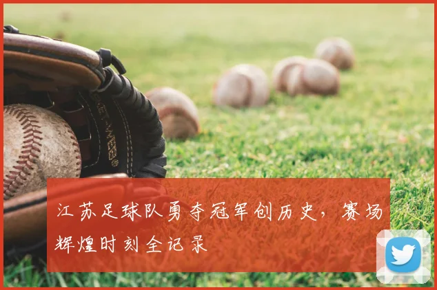 江苏足球队勇夺冠军创历史,赛场辉煌时刻全记录