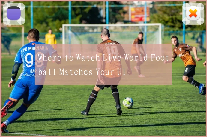 Where to Watch Live World Football Matches Your Ul